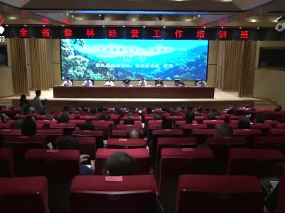 江西新闻联播20230513