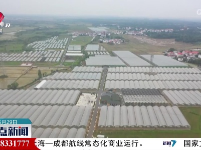 整点新闻20230529 14:00