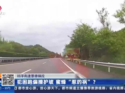 祁浮高速景德镇段：犯困跑偏撞护坡 蜜蜂“惹的祸”？