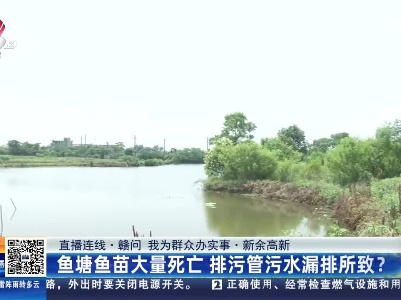 都市现场·午间版20230530