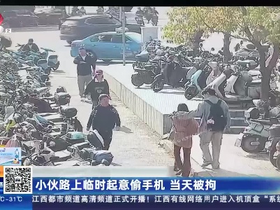 小伙路上临时起意偷手机 当天被拘