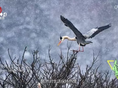 走近自然20230527