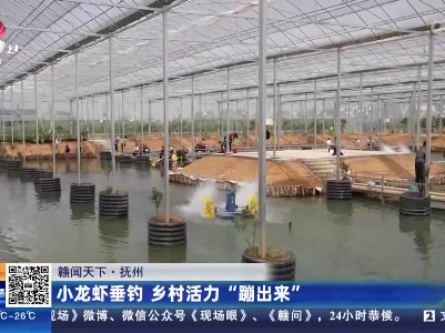 【赣闻天下】抚州：小龙虾垂钓 乡村活力“蹦出来”