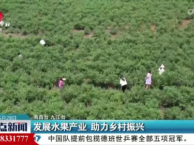 发展水果产业 助力乡村振兴