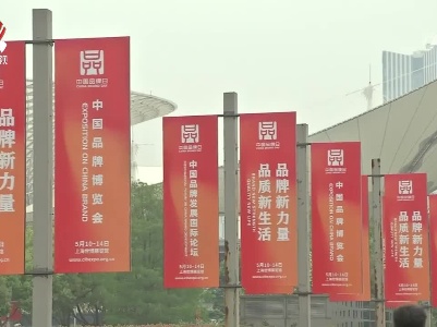 中国品牌博览会：“多彩江西”沪上绽放