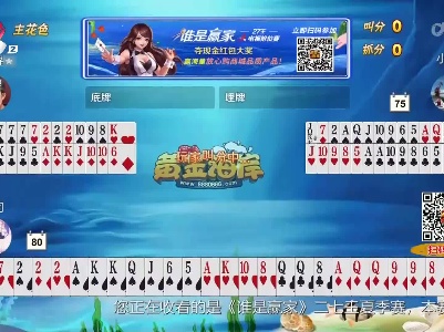 谁是赢家20230527