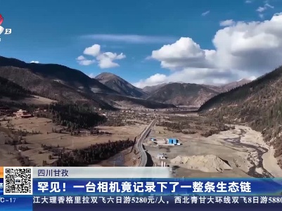 都市现场·午间版20230522