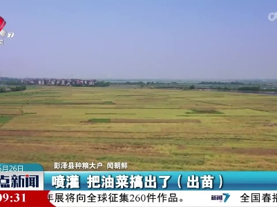 整点新闻20230526 14:00