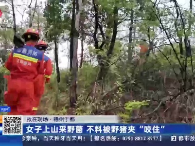 【救在现场】赣州于都：女子上山采野菌 不料被野猪夹“咬住”