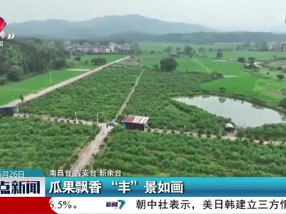 整点新闻20230526 12:00