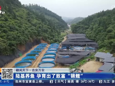 【赣闻天下】吉安万安：陆基养鱼 孕育出了致富“锦鲤”