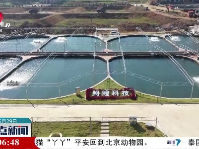 整点新闻20230529 12:00