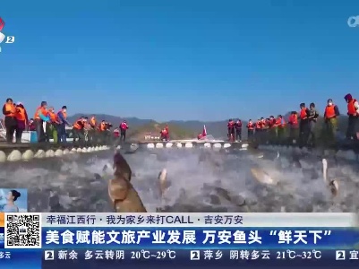 【幸福江西行·我为家乡来打CALL】吉安万安：美食赋能文旅产业发展 万安鱼头“鲜天下”