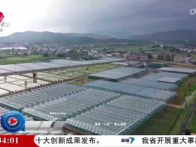 社会传真20230531 【民呼我为心连心】聚焦“三农” 深入调研