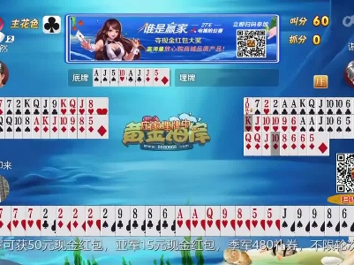 谁是赢家20230515