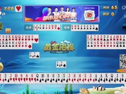 谁是赢家20230513