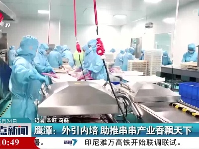 鹰潭：外引内培 助推串串产业香飘天下