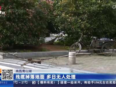 南昌青山湖：线缆掉落地面 多日无人处理