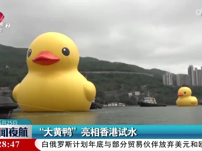 “大黄鸭”亮相香港试水