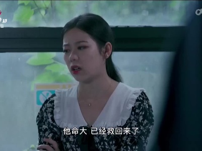 乡村栏目剧场20230528 妻子的谎言