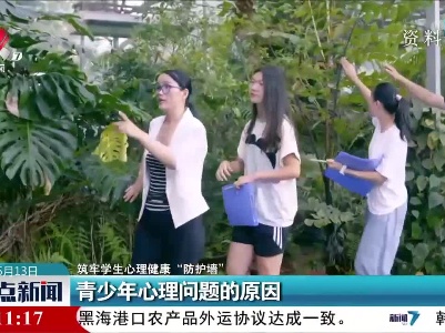 【筑牢学生心理健康“防护墙”】青少年心理问题的原因