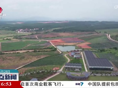 整点新闻20230528 14:00