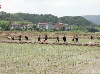 抚州：开展生产自救 全力降低灾情影响