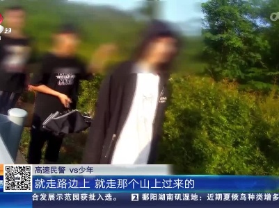 修大高速万载段：冒险上高速“挖啊挖” 竹笋虽美味安全是第一