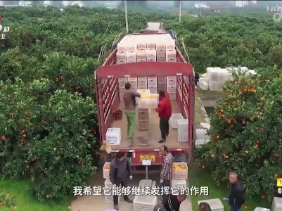新闻晚高峰20230524