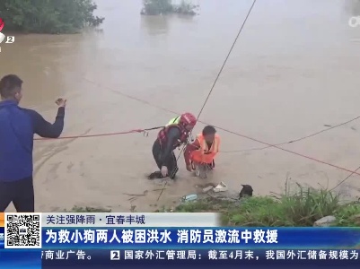 【关注强降雨】宜春丰城：为救小狗两人被困洪水 消防员激流中救援