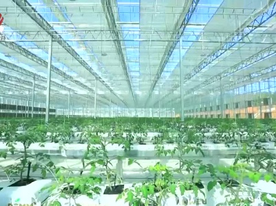 江西新闻联播20230505