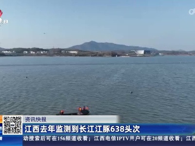 江西去年检测到长江江豚638头次