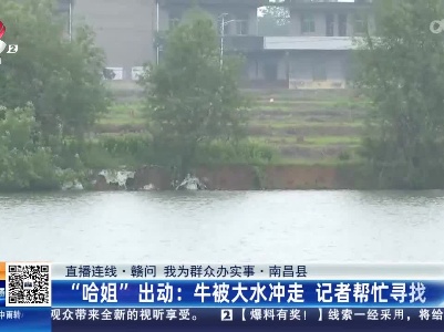 都市现场·午间版20230511