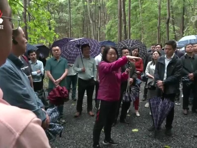 我省部署森林可持续经营试点工作