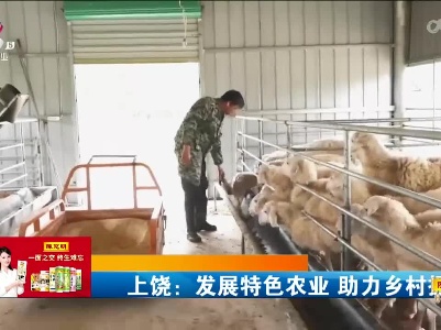 上饶：发展特色农业 助力乡村振兴