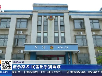 南昌经开：盗杀家犬 民警出手擒两贼