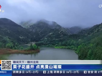 【赣闻天下】赣州龙南：栗子花盛开 点亮漫山璀璨