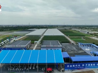 千款新品种亮相蔬菜种业展示会