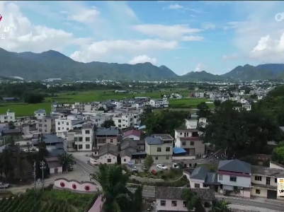 新闻晚高峰20230630
