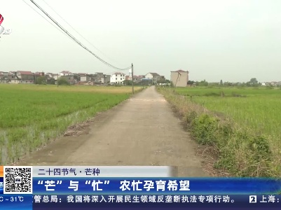 【二十四节气·芒种】“芒”与“忙” 农忙孕育希望