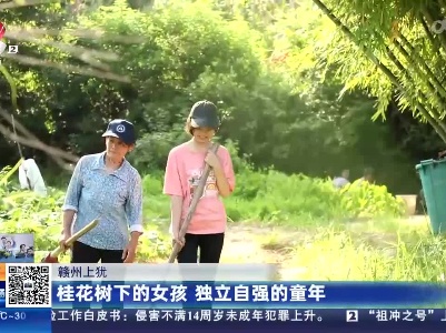 赣州上犹：桂花树下的女孩 独立自强的童年