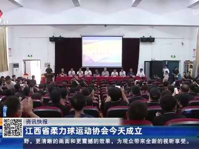 江西省柔力球运动协会今天成立