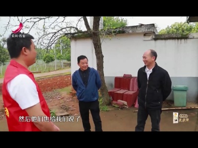 新闻晚高峰20230603