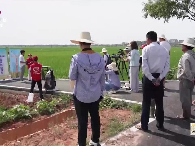 新闻晚高峰20230613
