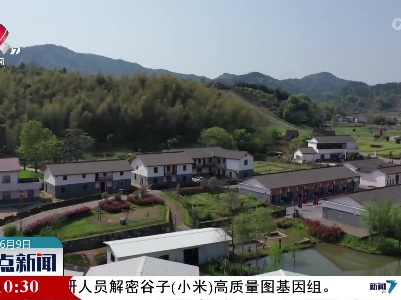 整点新闻20230609 14:00