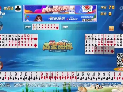 谁是赢家20230604