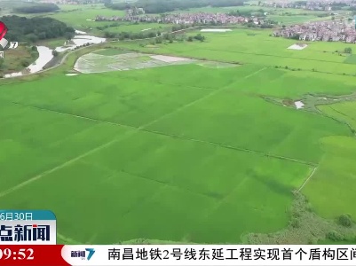 加强雨后田管 助力稳产增产