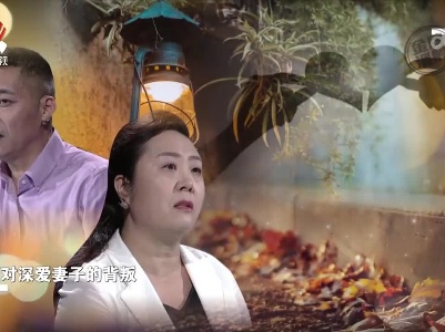 妻子移情别恋 数十年婚姻生活支离破碎