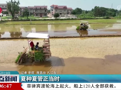 夏种夏管正当时