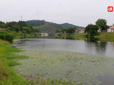 景德镇浮梁：“捕鱼人”变“护渔人” 东河最后一位三峡移民退捕上岸